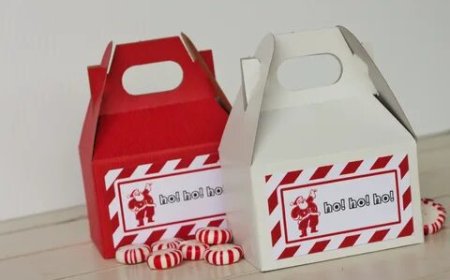 Why Custom Gable Boxes Are The Future Of Packaging