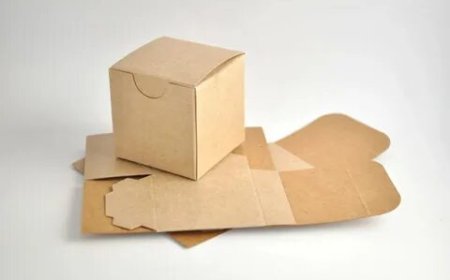 Kraft Boxes Deliver Professional Grade Packaging for Consistent Brand Value