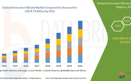 Ammonium Nitrate Market Analysis On Size and Industry Demand 2031