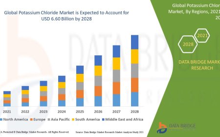 Potassium Chloride Market Analysis On Size and Industry Demand 2028