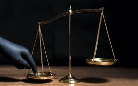 7 Best Plans to Fight Selection Bias