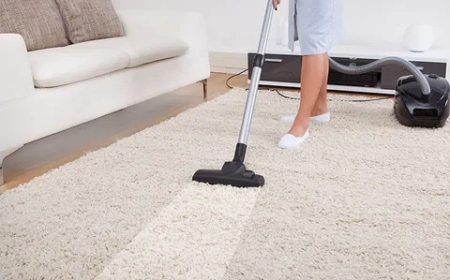 What are the Benefits of Choosing the Ideal Carpet Cleaner?