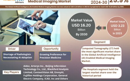 Global Artificial Intelligence (AI) Enabled Medical Imaging Components Market 2025 – Geographical Analysis, Latest Technology, Investment Opportunities, Future Trends and Outlook 2030
