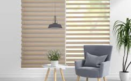 Stylish & Functional Roller Blinds in Toronto