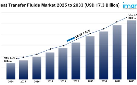 Heat Transfer Fluids Market Trends, Growth, and Demand Forecast 2025-2033
