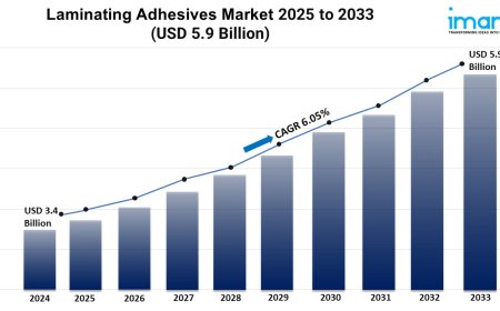Laminating Adhesives Market Growth, and Demand Forecast 2025-2033