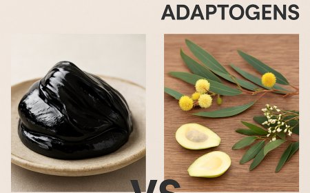 Shilajit vs. Local Adaptogens: Choosing Between Himalayan Resin and Aussie Botanicals