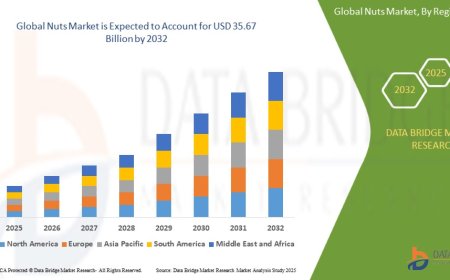 Nuts Market Dynamics: Trends and Forecast to 2032