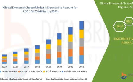 Emmental Cheese Market Dynamics: Trends and Forecast to 2032