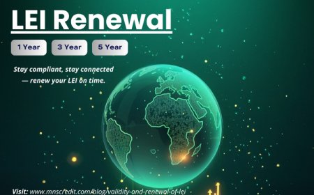 How to Renew Your LEI: A Step‑by‑Step Guide for Professional Compliance
