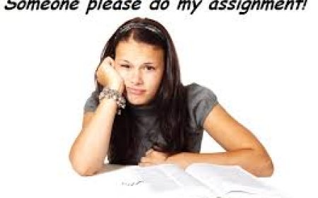 Can I Get Someone to Do My Assignment for Me?