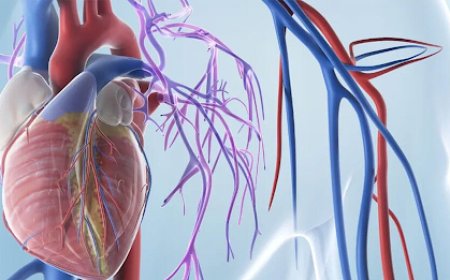 Heart Surgery in Gurgaon: Your Complete Guide to Coronary Artery Bypass Graft Treatment