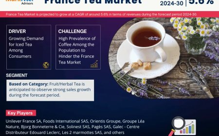 Top France Tea Market Companies & Operators: Trends, Key Players & Future Insights