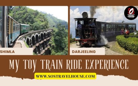 Looking to Visit Darjeeling? Packages below 10000 Wait