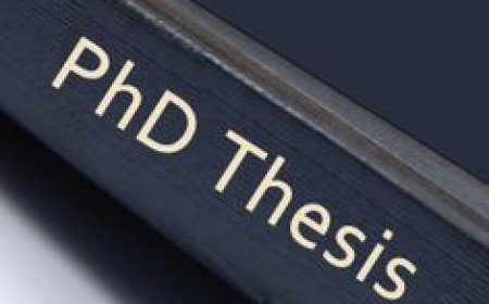 Top-Quality PhD Thesis Writing Services Online