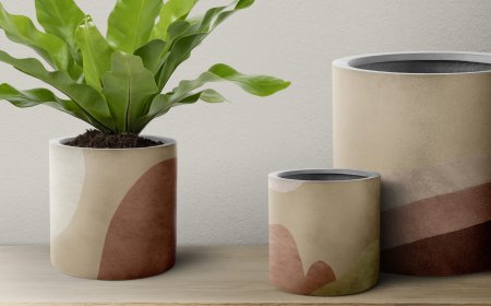 Why Ceramic Planters Are the Perfect Choice for Stylish Green Spaces