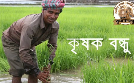 Krishak Bandhu Yojana: Farmer Support Program Guide