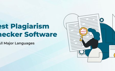A Plagiarism Checker's Crucial Function in the Current Digital Era