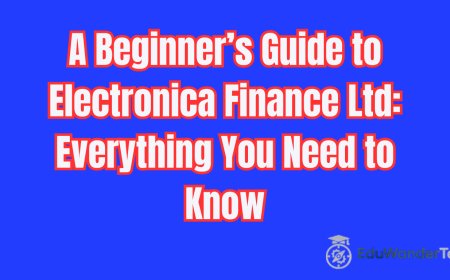 A Beginner’s Guide to Electronica Finance Ltd: Everything You Need to Know