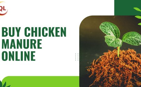 How to Buy Chicken Manure Online and Store It the Right Way