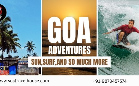 Goa Tour Package from Delhi: Unwind with Scenic Coastal Views