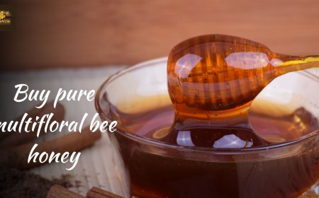 Buy Pure Multifloral Bee Honey: The Best Gift for Health Lovers