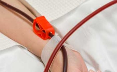 The Rise of EBOO Dubai as a Game-Changer in Cellular Health