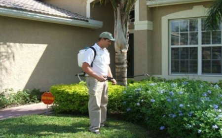 Effective Pests Control Tips for Every UK Garden