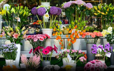 Mark Life's Little Moments with Single Pink Rose with Flowers Mart