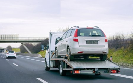 Premium Long Distance & Touring Car Services in Queen Anne, WA