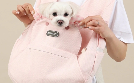 Travel Made Easy with the Perfect Dog Overnight Bag