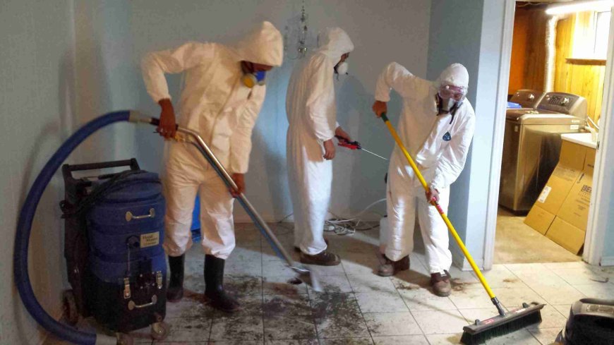 Top Signs You’re Hiring the Right Water Cleanup Company in Grayslake