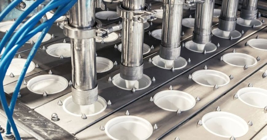 Establishing a Frozen Yogurt Manufacturing Plant Report 2025, Project Cost Details