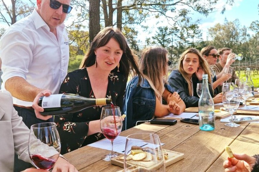 Explore the Flavours of Hunter Valley with Cheese and Wine Tasting