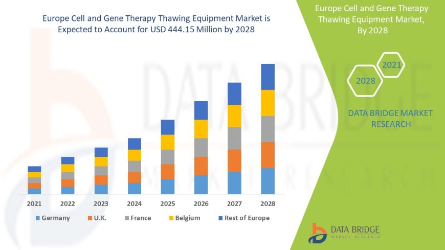 Cell and Gene Therapy Innovation Spurs Thawing Equipment Market Growth in Europe