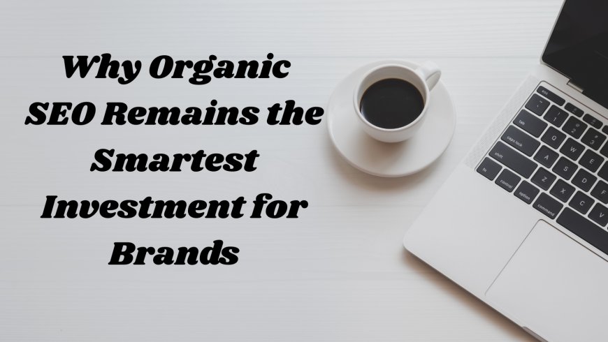 Why Organic SEO Remains the Smartest Investment for Brands