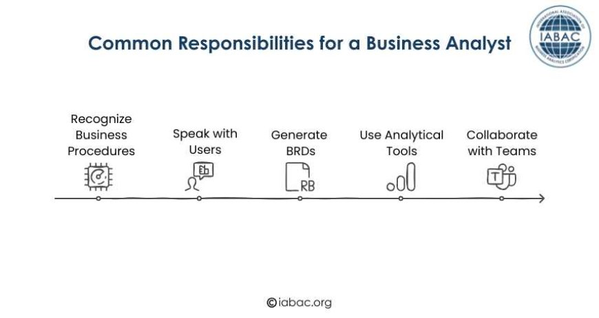 Common Responsibilities for a Business Analyst