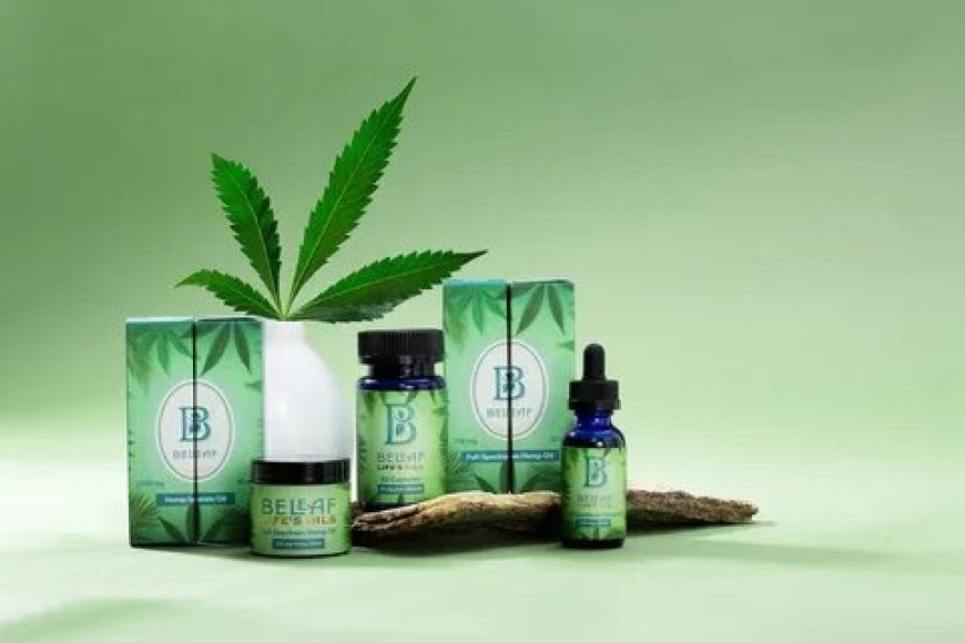 How Custom Printed Hemp Boxes Elevate Sustainable Packaging