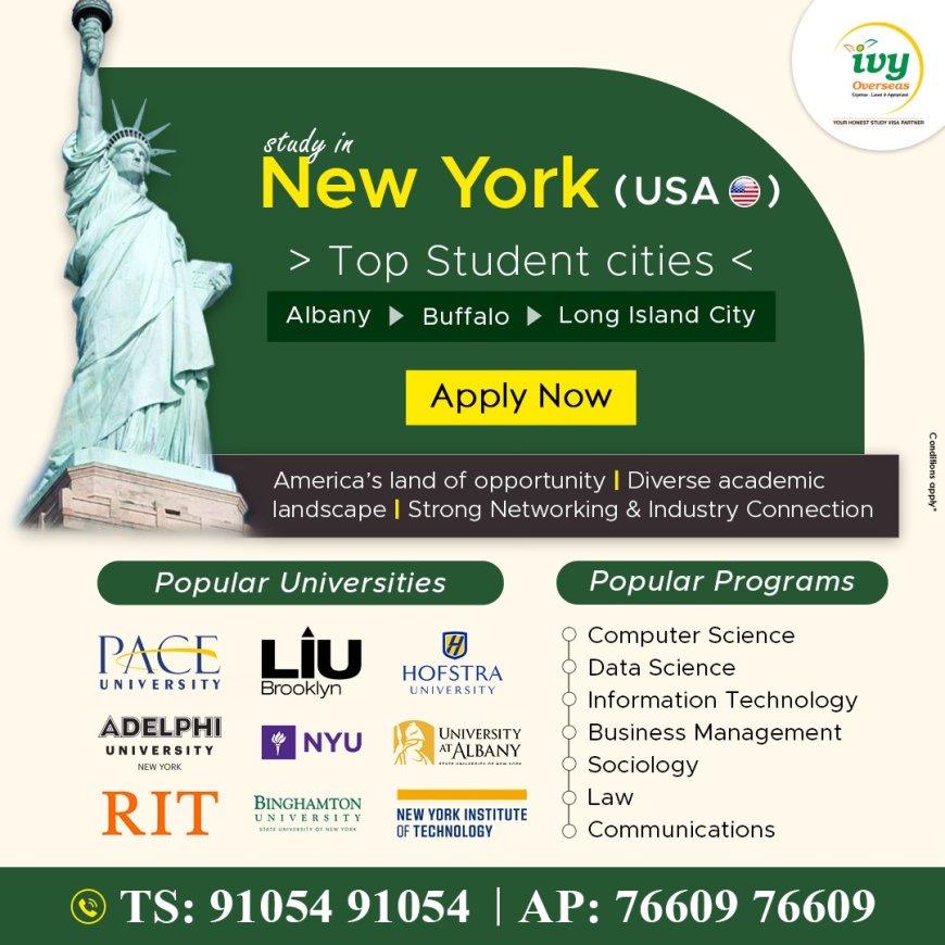 Best consultancy for USA student visa