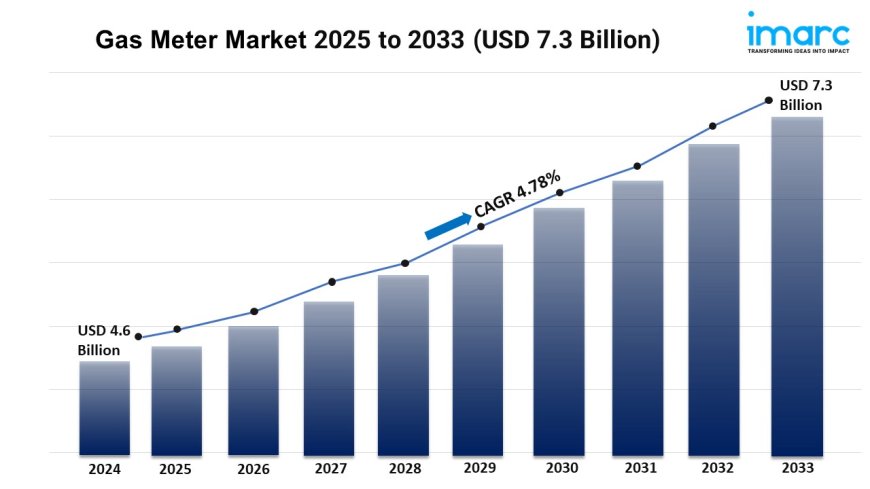 Gas Meter Market Growth, Share, and Trends Forecast 2025-2033