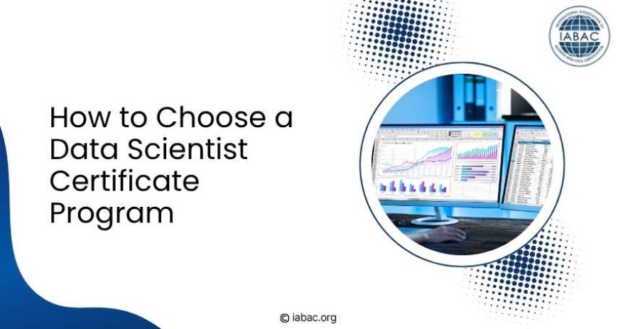 How to Choose a Data Scientist Certificate Program? | IABAC