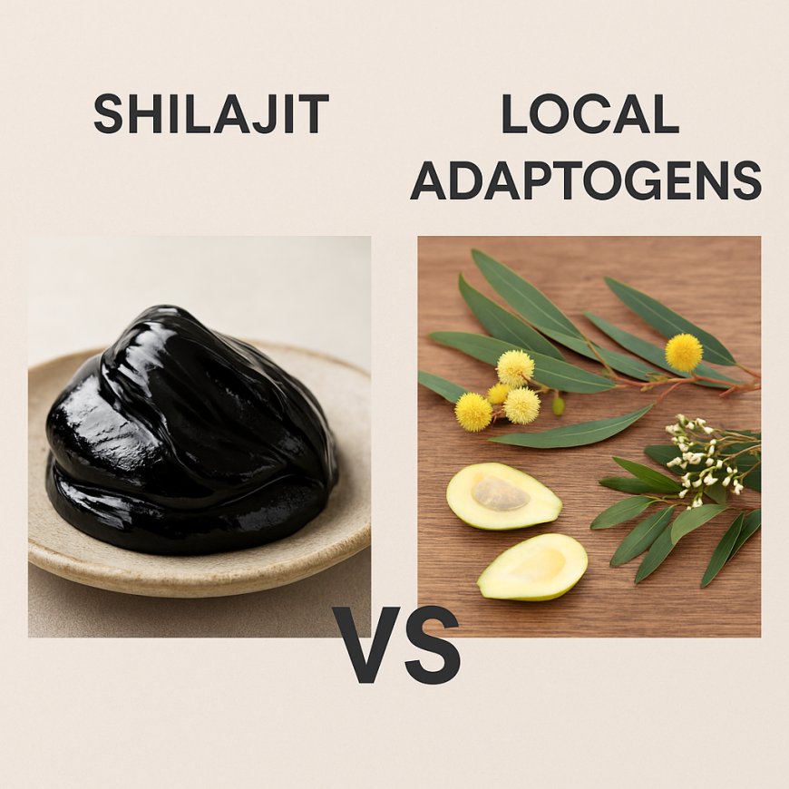 Shilajit vs. Local Adaptogens: Choosing Between Himalayan Resin and Aussie Botanicals