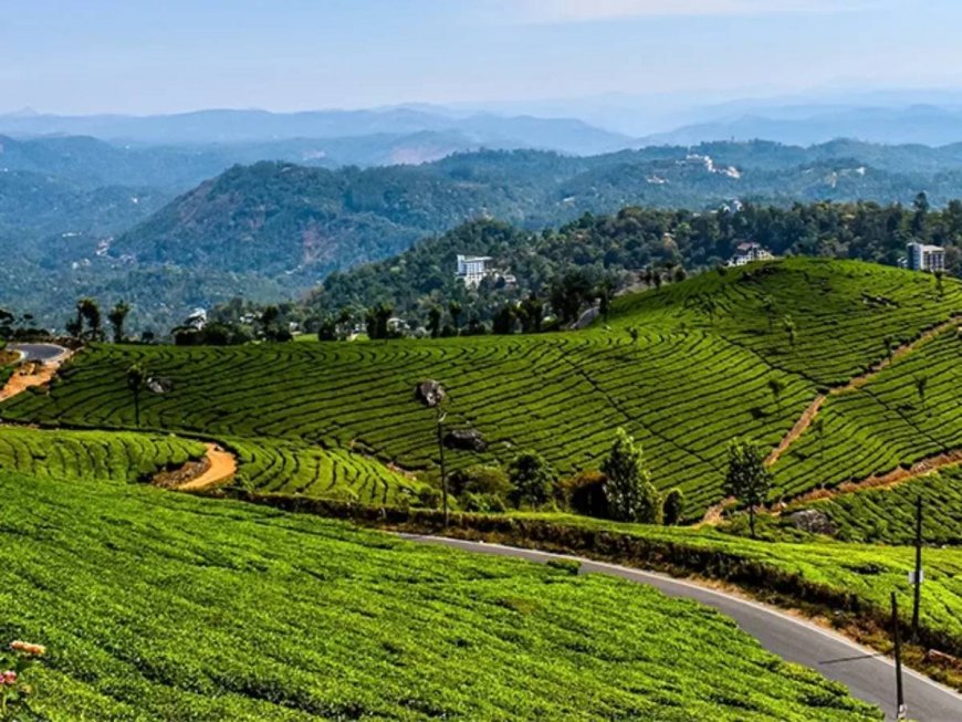 Your Perfect Munnar Tour Itinerary