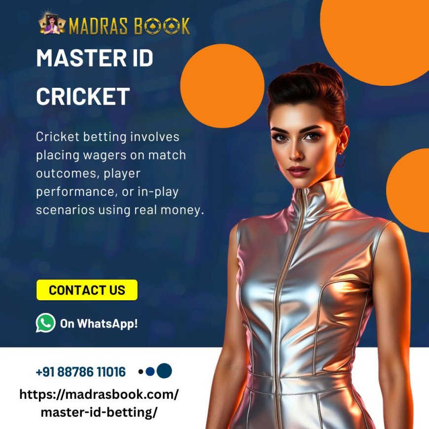 Real Stories of Bettors Who Won Big Using Master ID Systems