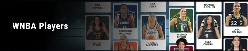 WNBA Players: Profiles, Stats, and Career Highlights