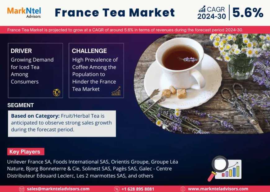 Top France Tea Market Companies & Operators: Trends, Key Players & Future Insights