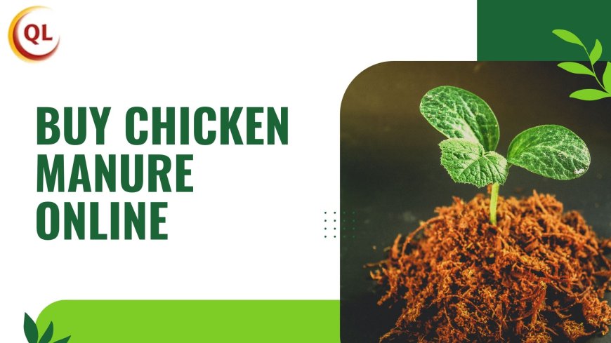 How to Buy Chicken Manure Online and Store It the Right Way