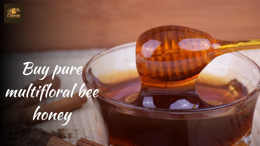 Buy Pure Multifloral Bee Honey: The Best Gift for Health Lovers