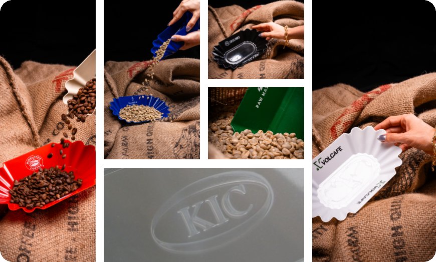 Best Plastic Coffee Lab Trays for Professionals