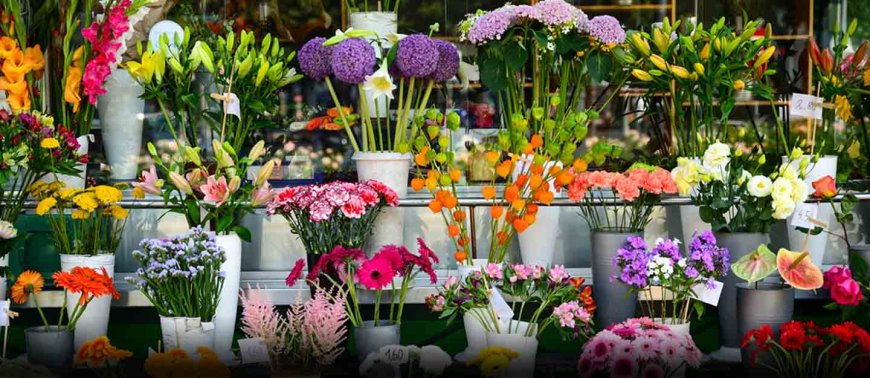 Mark Life's Little Moments with Single Pink Rose with Flowers Mart